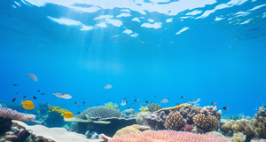 Dive into Paradise: World’s Most Beautiful Coral Reefs