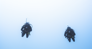 Adventure Awaits: Thrilling Dive Spots for Every Diver